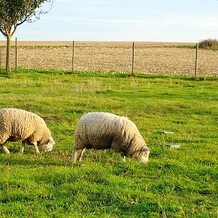 Charmante Maison A Le Bas Avec Jardin Et Vue Montagne * Fessenheim-le-Bas